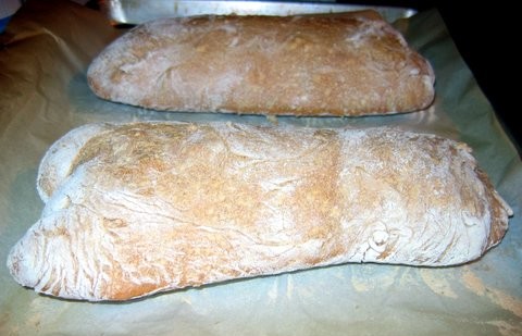 Ciabatta Ciabatta