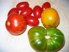 Tomatoes_1 Tomatoes_1