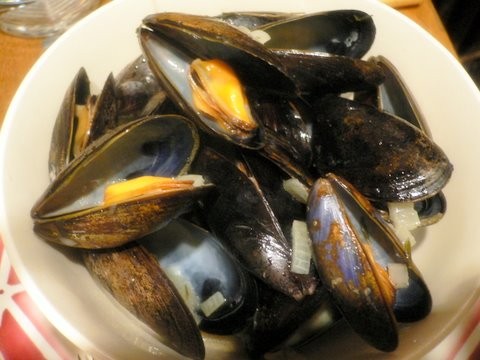 Mussels_1 Mussels_1