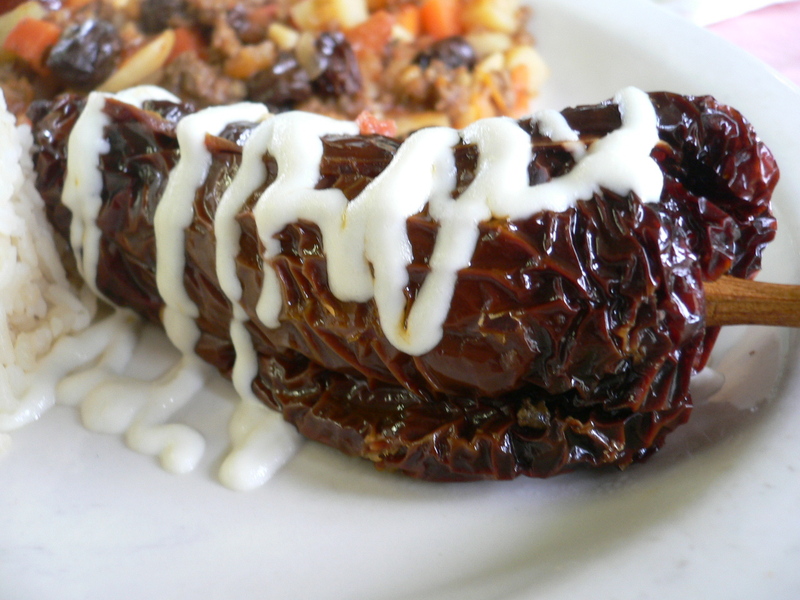 P1080469_2 P1080469_2