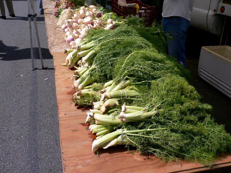 P1080492_3 P1080492_3