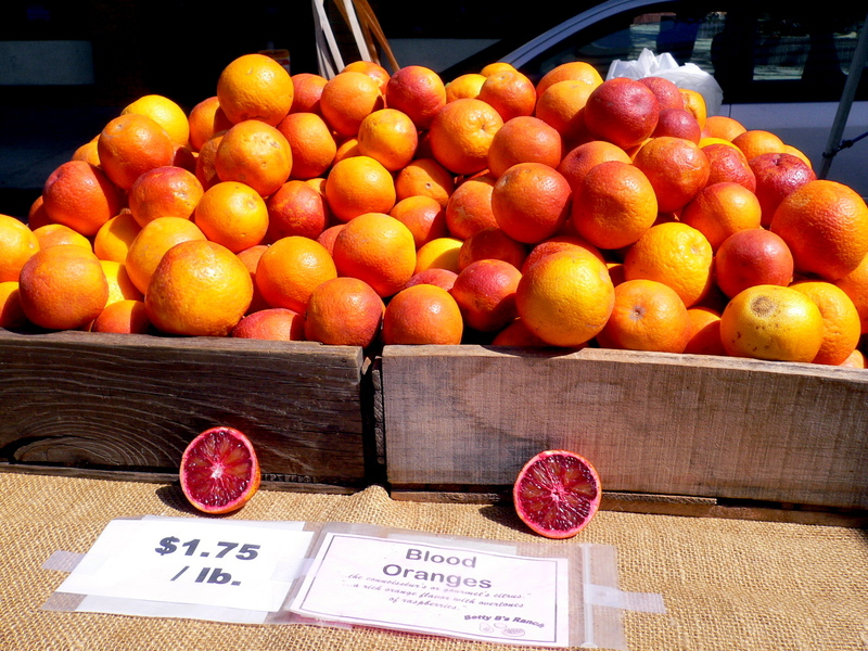 P1080494_3 P1080494_3