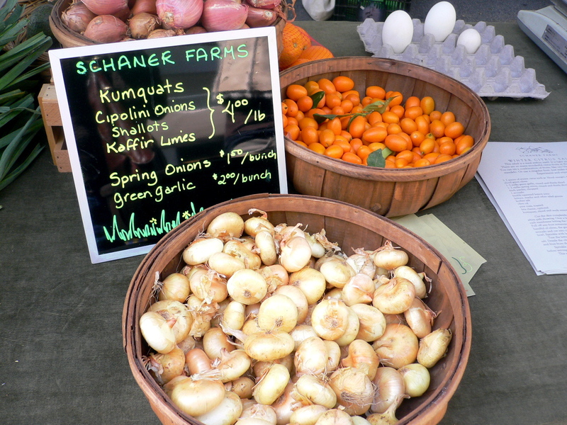 P1080496_4 P1080496_4