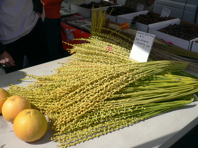 P1080498_2 P1080498_2