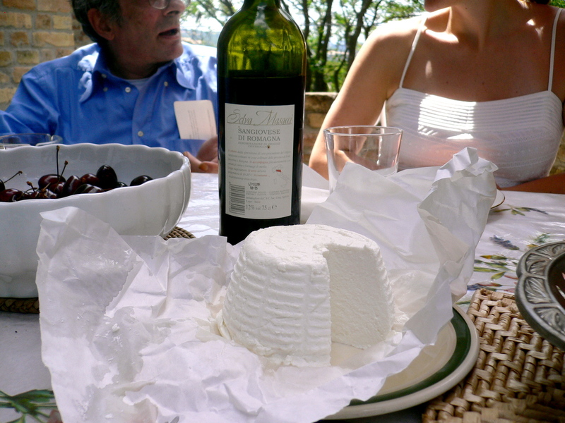 P1100543_2 P1100543_2