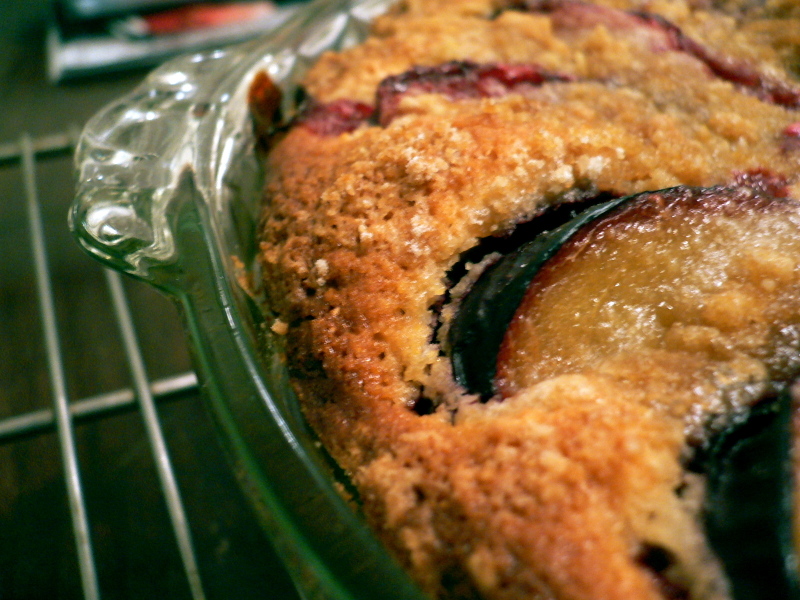 P1120037_2 P1120037_2