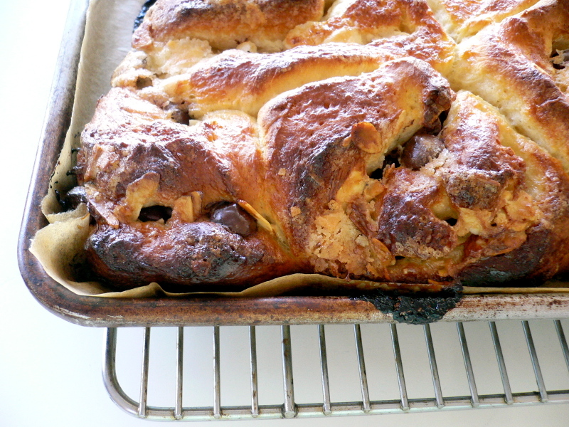 P1120136_2 P1120136_2