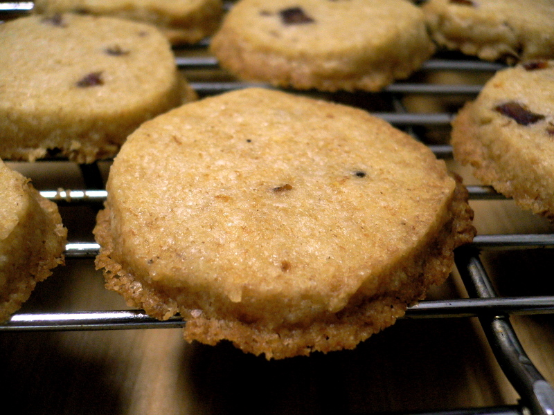 P1130013_6 P1130013_6