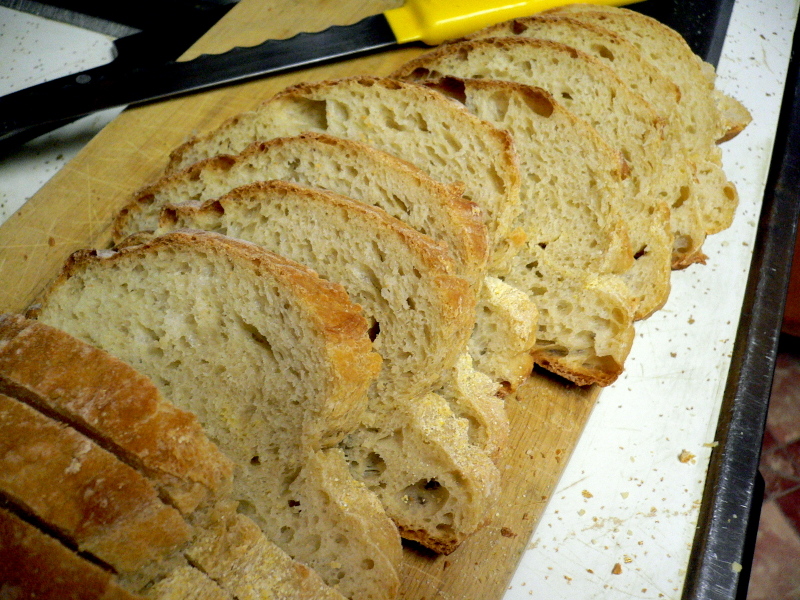 P1130140_3 P1130140_3