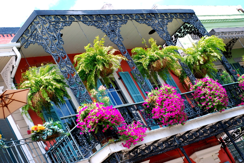 Dsc_0050_2 Dsc_0050_2