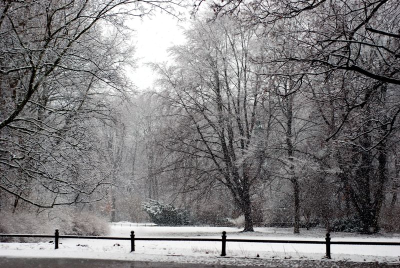 Tiergarten Tiergarten