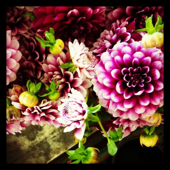 My Berlin Kitchen: West Coast Tour Update My Berlin Kitchen: West Coast Tour Update