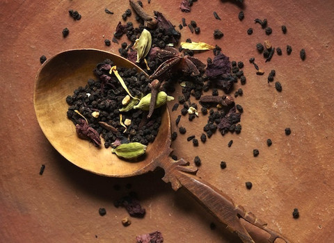 Bellocqchai Bellocqchai