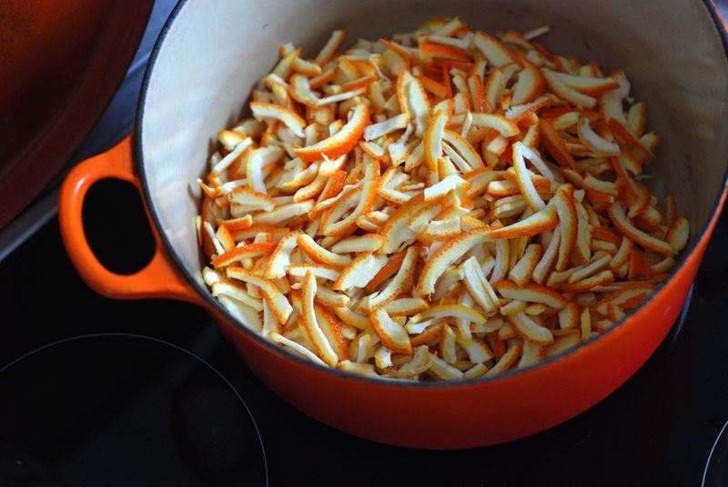 Sliced sour orange peel Sliced sour orange peel