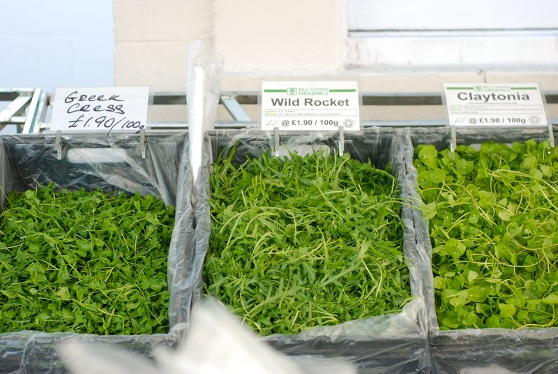 Baby greens at Barnes farmer's market Baby greens at Barnes farmer's market