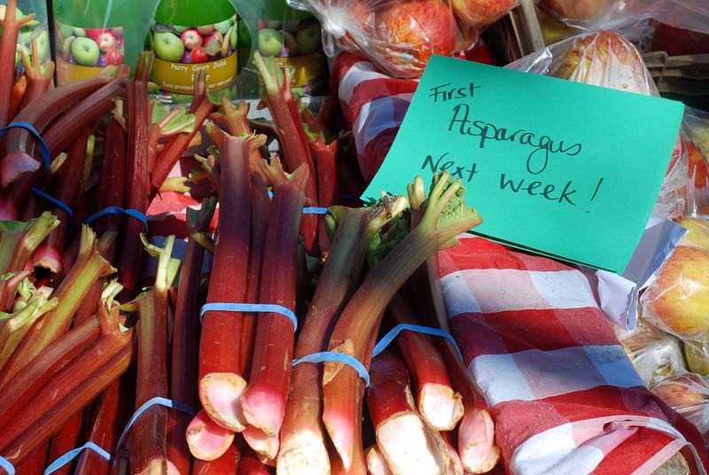 First rhubarb at Barnes market First rhubarb at Barnes market