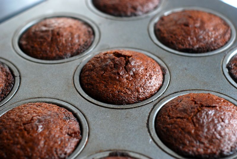 Boston browd bread muffins, baked Boston browd bread muffins, baked