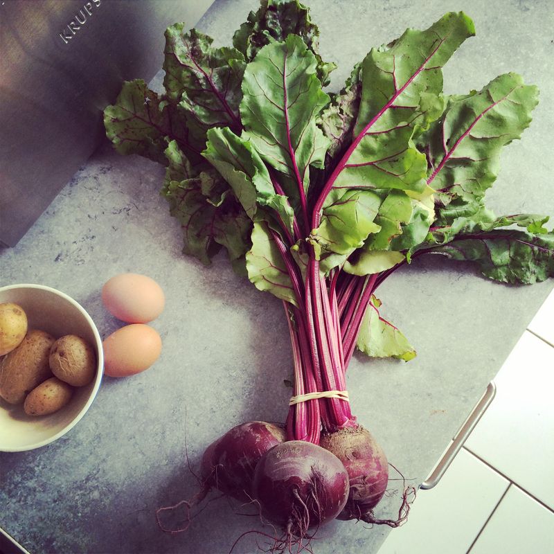 Fresh beets Fresh beets