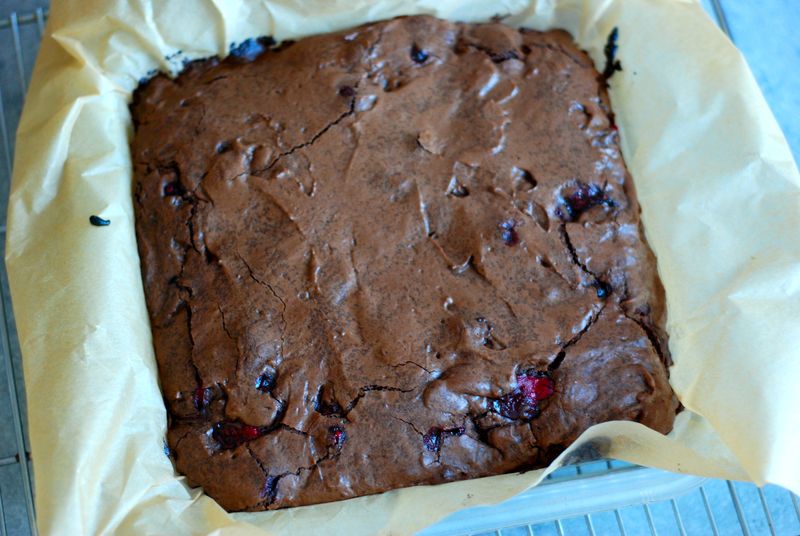 Bittersweet brownies with cranberries Bittersweet brownies with cranberries