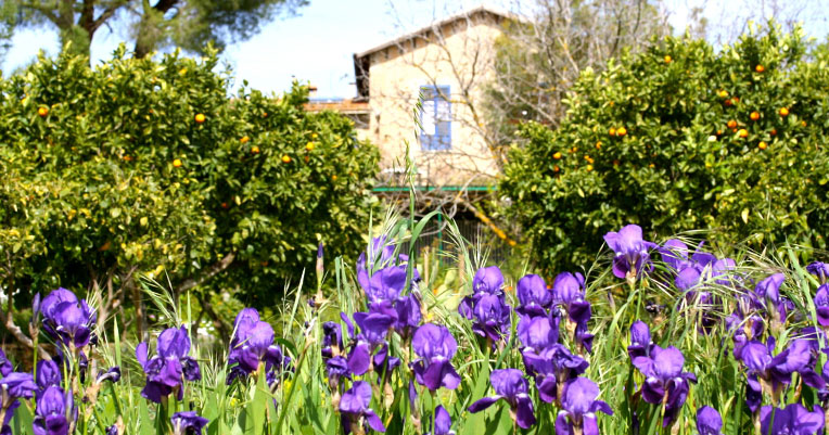 Garden-atl Garden-atl