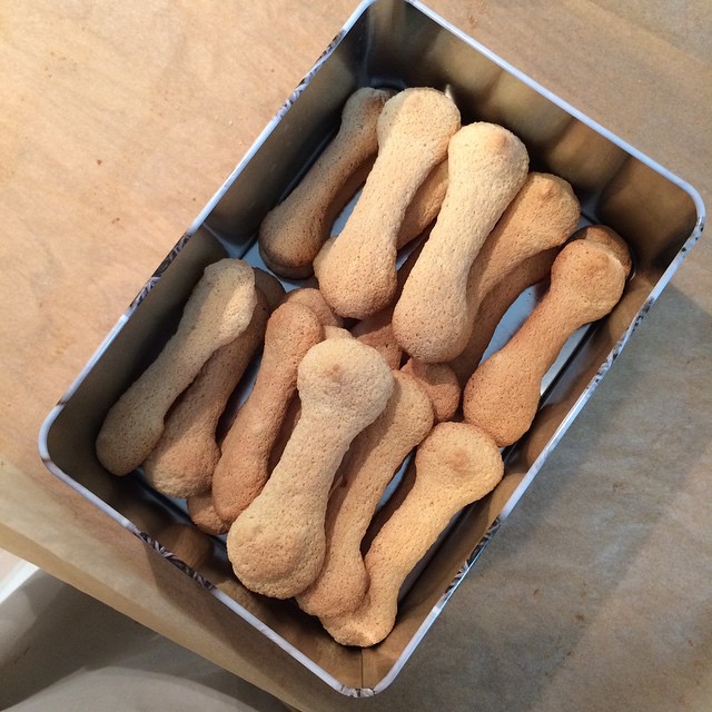 Löffelbiskuit Löffelbiskuit