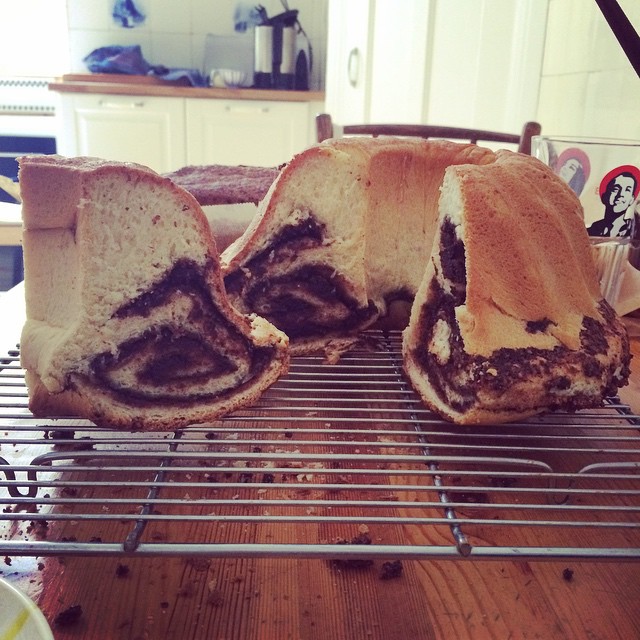 Schokoladen-Gugelhupf Schokoladen-Gugelhupf