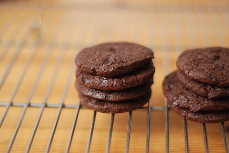 Intensely Chocolate Sablés Intensely Chocolate Sablés