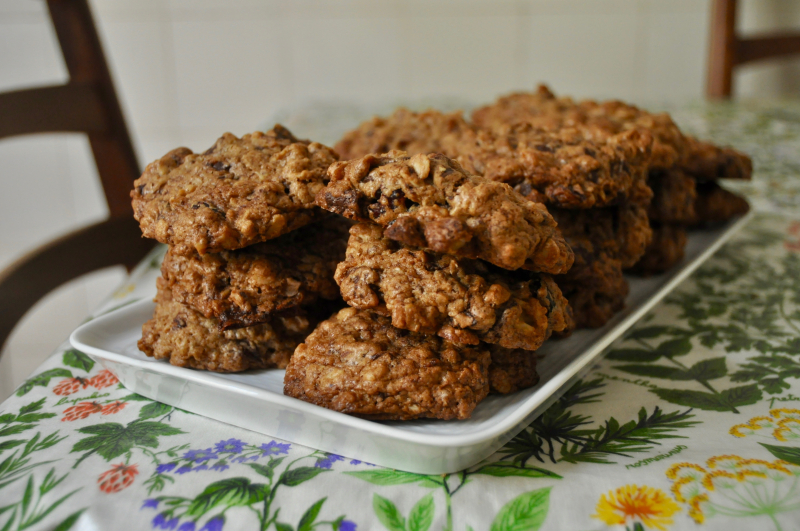 Teff Oatmeal Chocolate Chip Cookies with Walnuts and Cranberries Teff Oatmeal Chocolate Chip Cookies with Walnuts and Cranberries